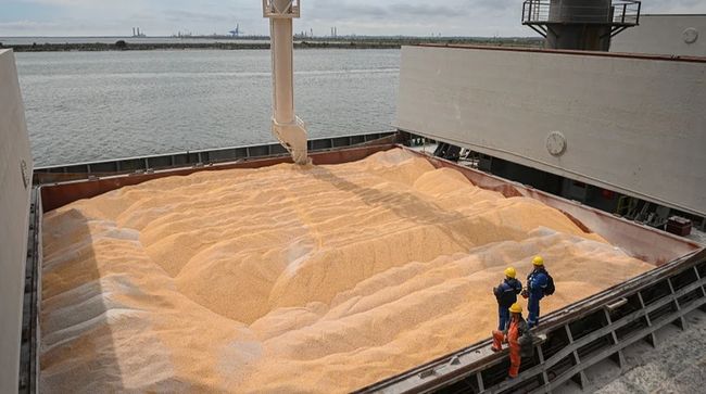 Український експорт пшениці просів майже на третину