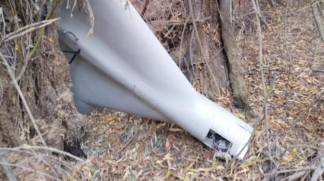 В Румынию залетел российский разведывательный БПЛА Дельта... Не первый и не последний?