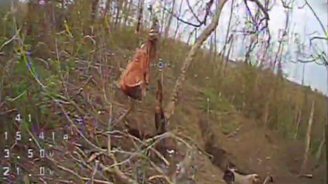 Оператори FPV-дронів «Сталевого кордону» нищать окупантів (ВІДЕО)