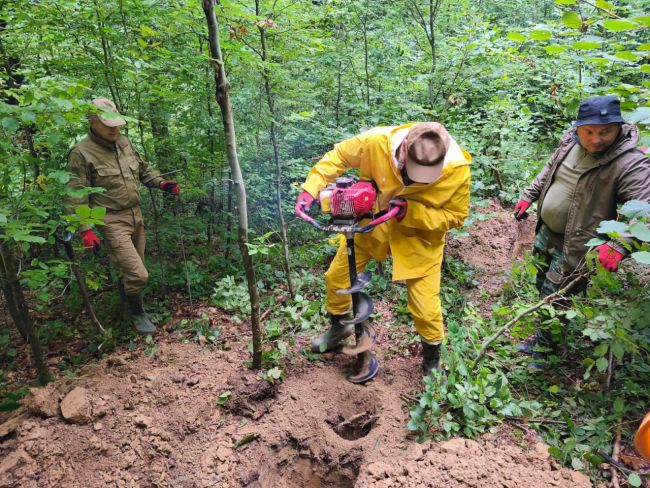 У Польщі завершили перший етап пошуково-ексгумаційної експедиції у межах українсько-польської співпраці