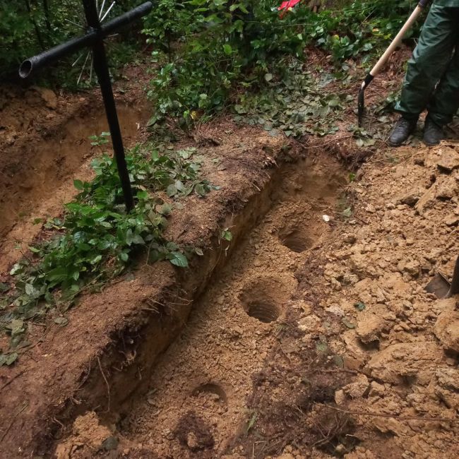 У Польщі завершили перший етап пошуково-ексгумаційної експедиції у межах українсько-польської співпраці