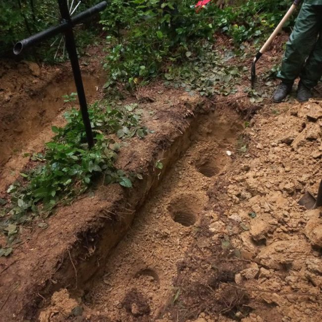 На місці ексгумацій у Польщі не знайшли останків солдатів УПА На місці ексгумацій у Польщі не знайшли останків солдатів УПА