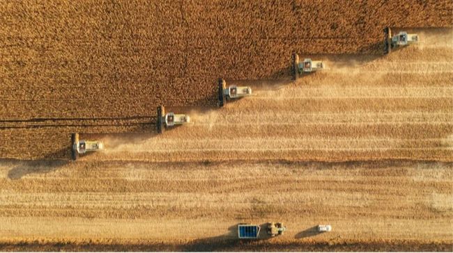 Мінекономіки повідомило про мільйонні компенсації за вітчизняну сільгосптехніку