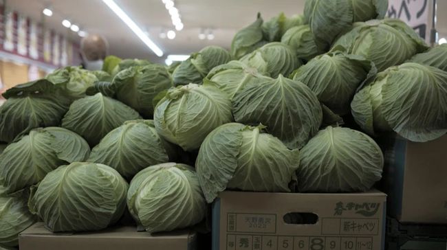 В Україні подешевшала капуста: яка її вартість