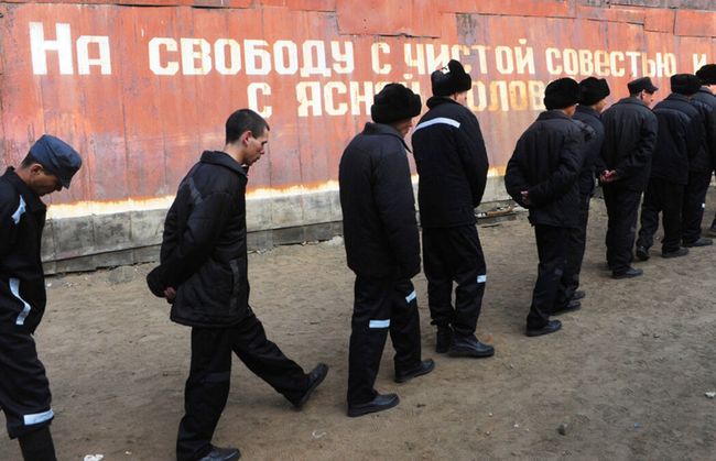 У рф освіта програла колючому дроту