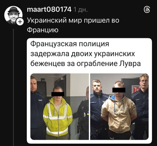 Брехня: «Лувр пограбували українські переселенці, двох вже навіть затримали»