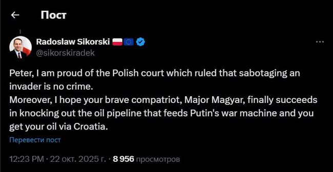 Радослав Сикорский дискутирует с Петером Сийярто