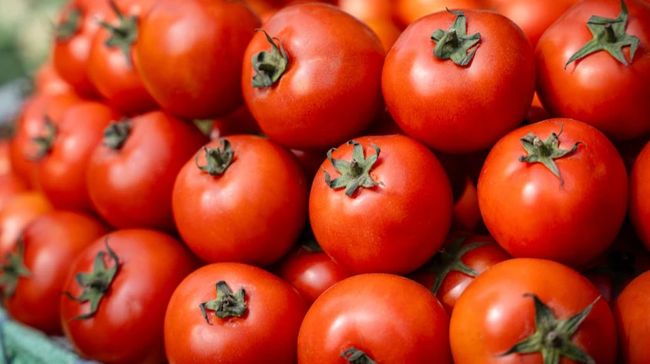 Ціни на помідори в Україні активно зростають