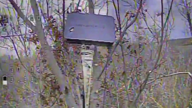 Дрони «Сталевого кордону» успішно ліквідовують окупантів на Сумщині (ВІДЕО) Дрони «Сталевого кордону» успішно ліквідовують окупантів на Сумщині (ВІДЕО)