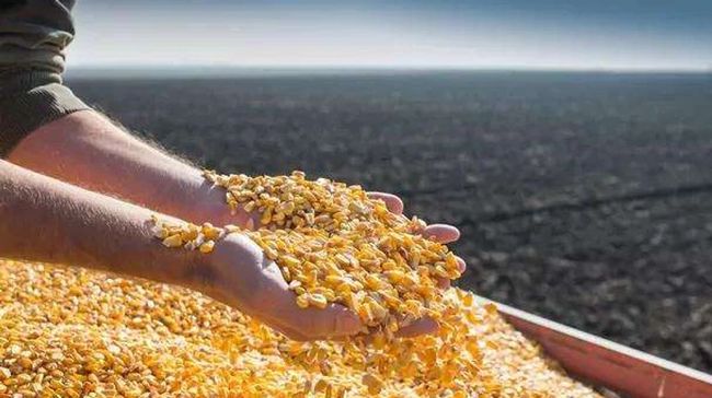 Україна у жовтні збільшила експорт агропродукції