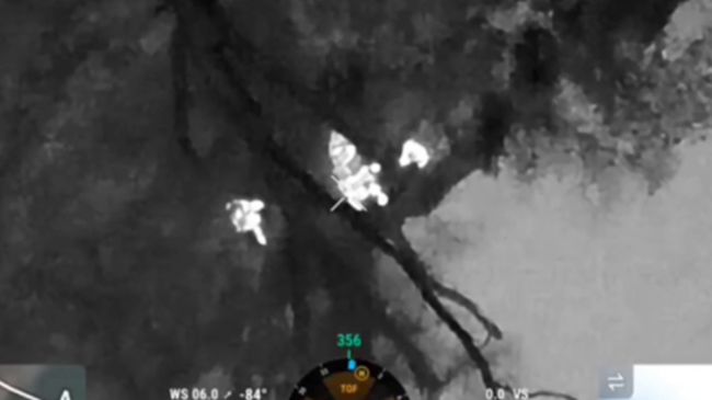 Поблизу кордону зі Словаччиною затримали групу порушників (ВІДЕО)