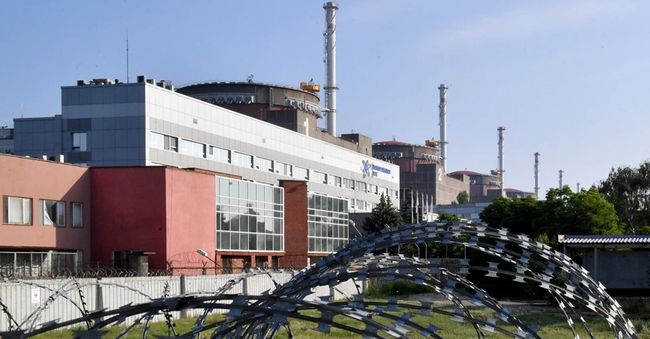 Мільйони на корм для риб: Енергоатом проводив закупівлі для вже окупованої ЗАЕС у 2022 році