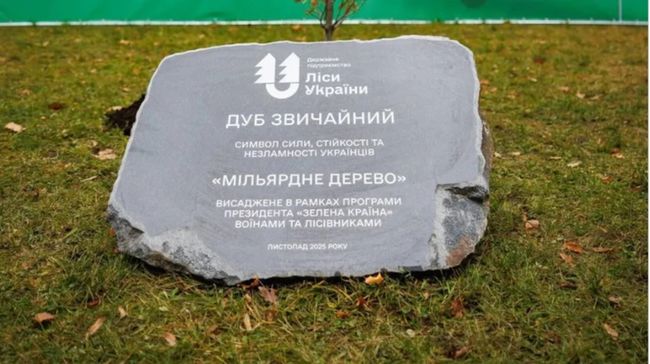 Ліси України заявили про завершення ініціативи Зеленського: висадили мільярдне дерево