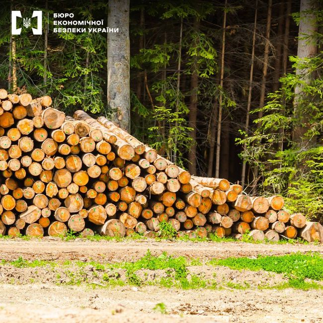 БЕБ - контрабанда лісоматеріали припинена