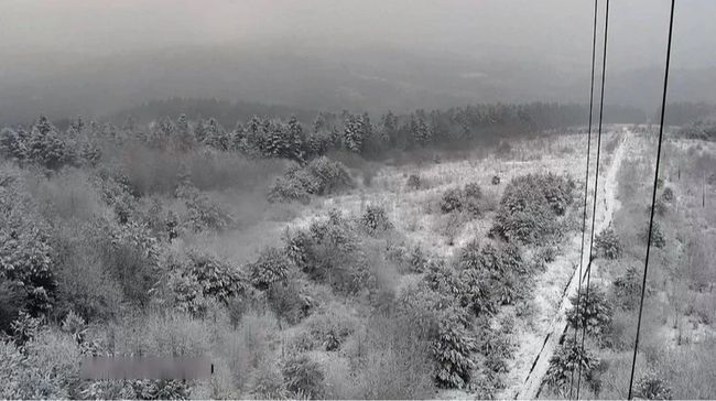 Зимова підтримка: 150 тисяч людей подали заявки на розширену підтримку