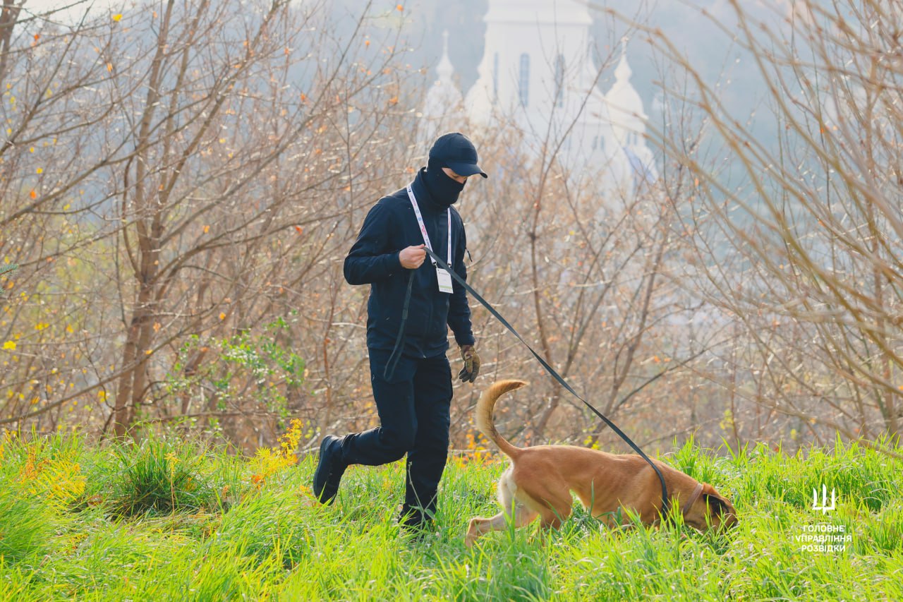 “Чотирилапі захисники” ― службовий пес ГУР Zyga та його кінолог отримали відзнаку за виявлення вибухівки “Чотирилапі захисники” ― службовий пес ГУР Zyga та його кінолог отримали відзнаку за виявлення вибухівки