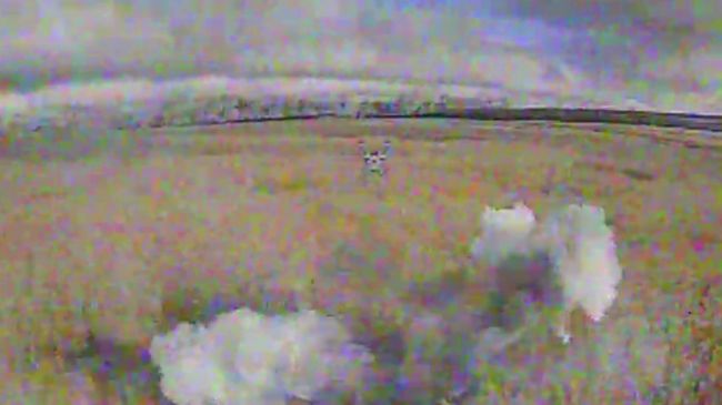 На Курському напрямку бійці «Сталевого кордону» нищать окупантів та їх укриття (ВІДЕО) На Курському напрямку бійці «Сталевого кордону» нищать окупантів та їх укриття (ВІДЕО)