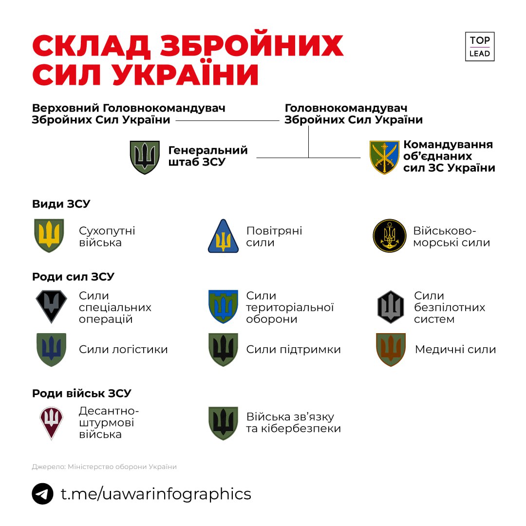 Склад Збройних Сил України (ІНФОГРАФІКА)