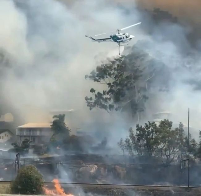 Вогонь охопив тисячі гектарів: у Австралії спалахнули лісові пожежі, людей закликають евакуюватися