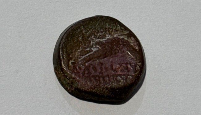На Одещині прикордонники виявили монети давньогрецького Пантікапея, Македонії та острова Родос
