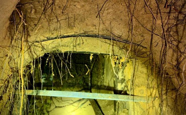 На кордоні Польщі з Білоруссю знайшли підземний тунель: ним пройшли понад 180 мігрантів