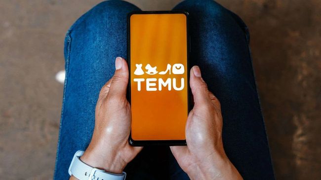 В офісі Temu в ЄС несподівано провели обшуки: у чому підозрюють ритейлера