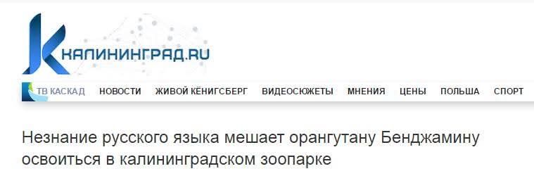 Новини одним рядком