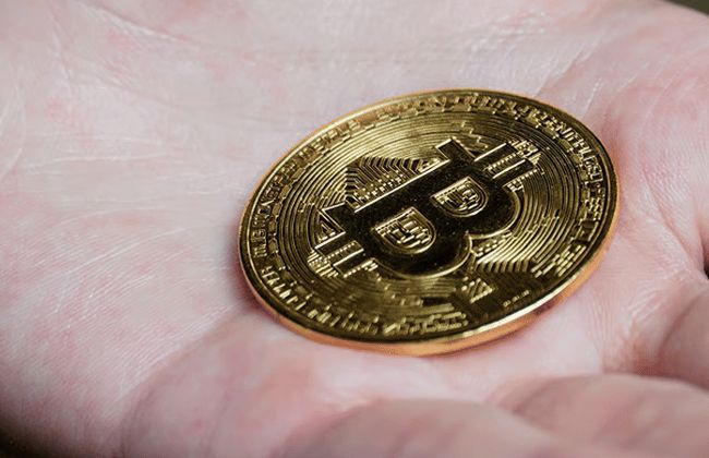 Біткоїн-компанія скуповує острів і будує власне місто для своїх