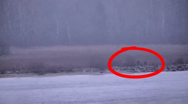 Bloomberg: Троє російських прикордонників перейшли на територію Естонії та перебували там приблизно 20 хвилин