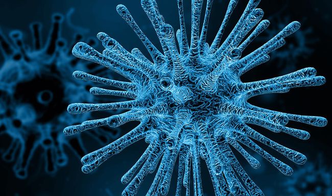 Штучний інтелект допоміг вченим зупинити вірус за допомогою однієї крихітної зміни