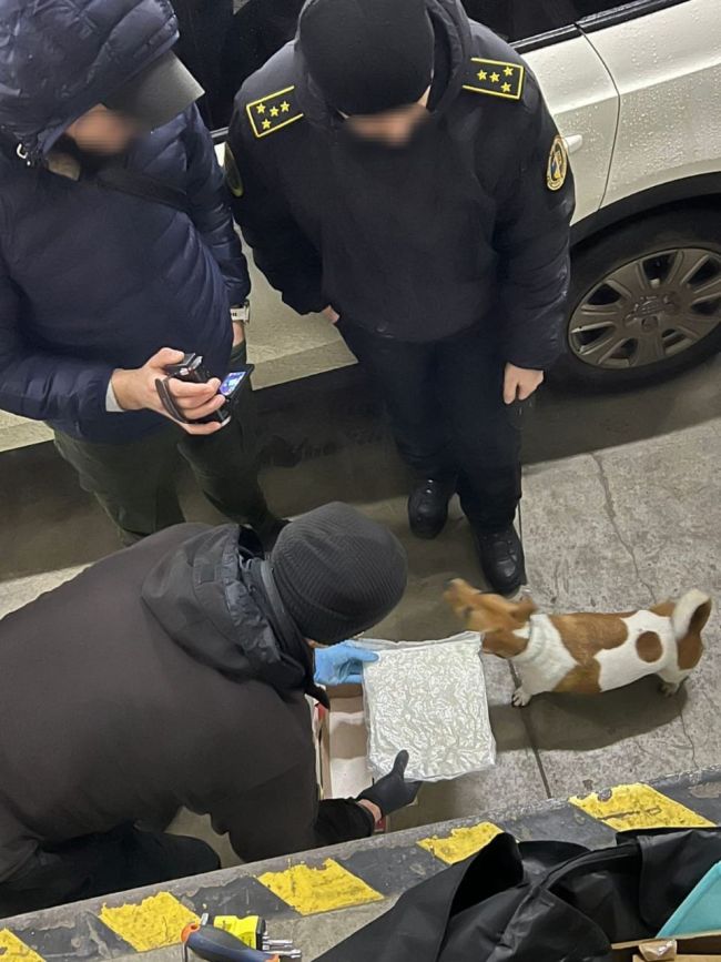 На кордоні зі Словаччиною затримали двох наркоділків, які ввозили в Україну партію метамфетаміну (ВІДЕО)