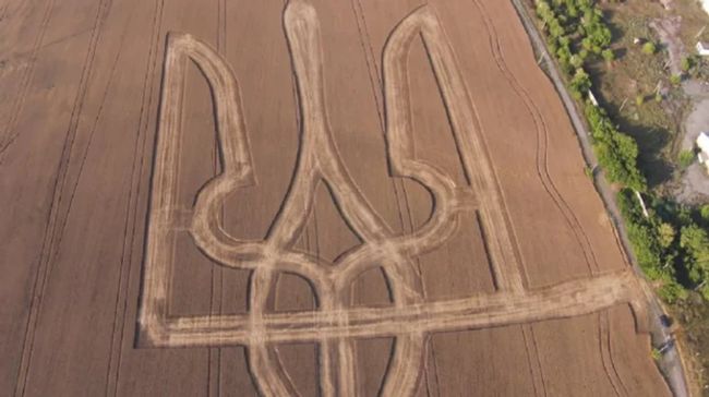 У 2025 році українці зібрали 57,6 мільйона тонн зерна