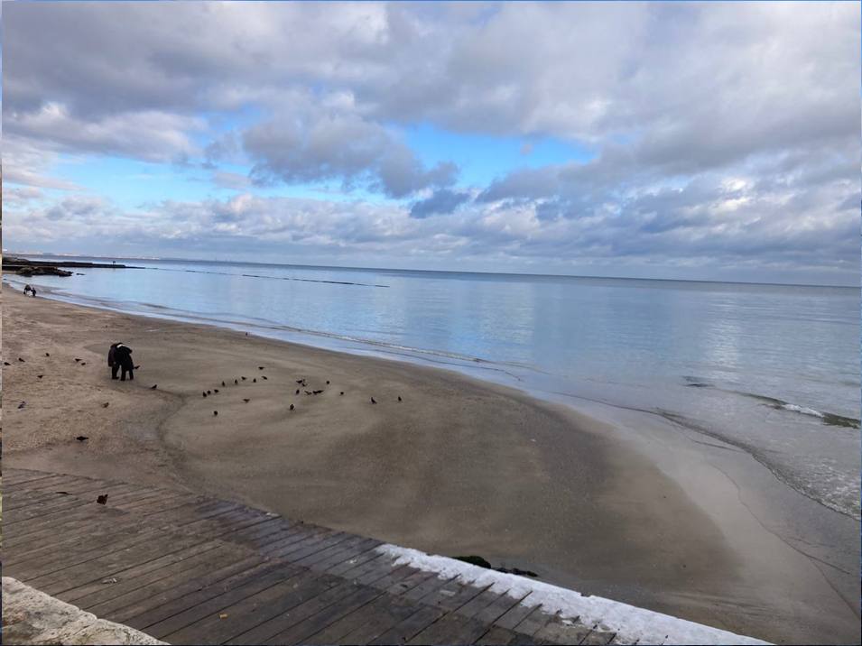 Поблизу узбережжя Одеси суттєво зменшилося забруднення моря після російської атаки