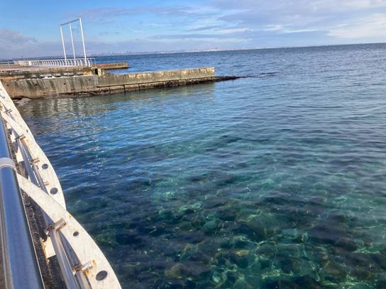 Поблизу узбережжя Одеси суттєво зменшилося забруднення моря після російської атаки