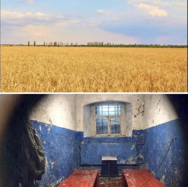 Новини одним рядком Новини одним рядком