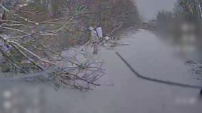 Полювання fpv «Сталевого Кордону» на окупантських невидимок (ВІДЕО)