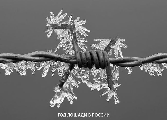 Новини одним рядком