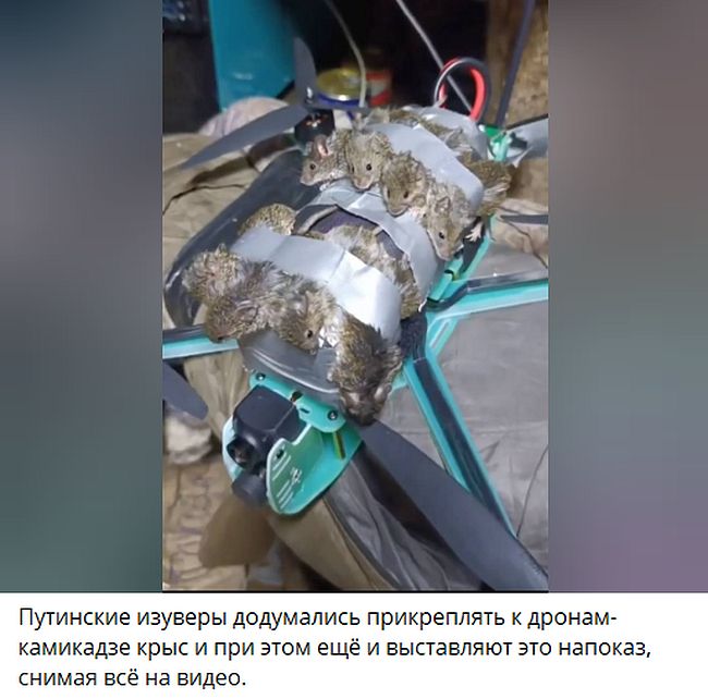 Новини одним рядком Новини одним рядком