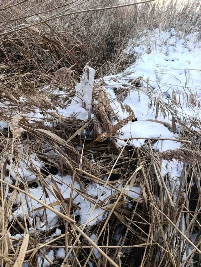 В Молдові виявили невідомий дрон на березі озера