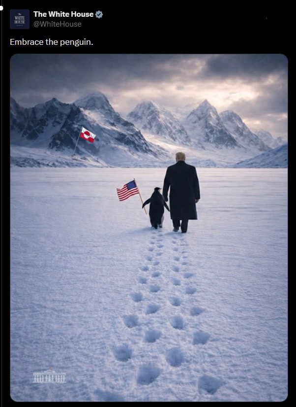 «Обійміть пінгвіна»