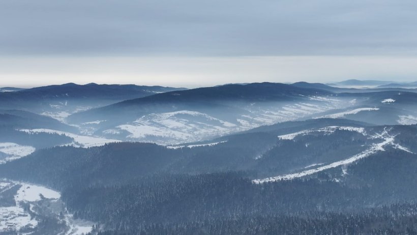 Прикордоння Львівщини під впливом зимової стихії: кадри з кордону