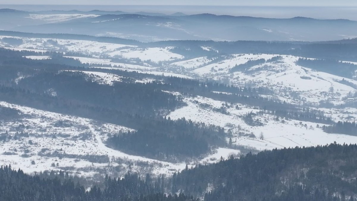 Прикордоння Львівщини під впливом зимової стихії: кадри з кордону