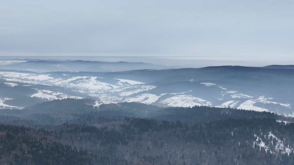 Прикордоння Львівщини під впливом зимової стихії: кадри з кордону