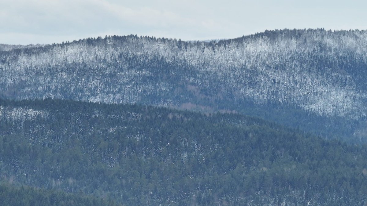 Прикордоння Львівщини під впливом зимової стихії: кадри з кордону