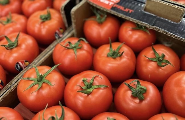 Україна у 2025 році суттєво збільшила імпорт помідорів та огірків
