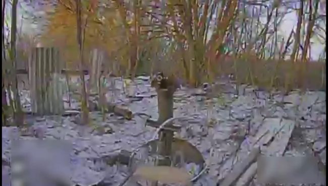 Бойова робота підрозділу «Прайм» 5 прикордонного загону на Північно-Слобожанському напрямку (ВІДЕО)