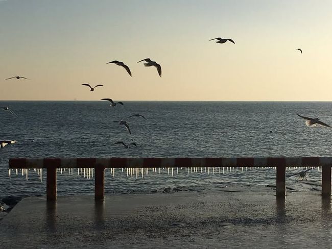 Чи може холод і відсутність світла змусити українців масово виїжджати з дому?