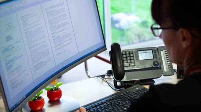 Гнучкий графік: в яких професіях побільшало вакансій з цією умовою