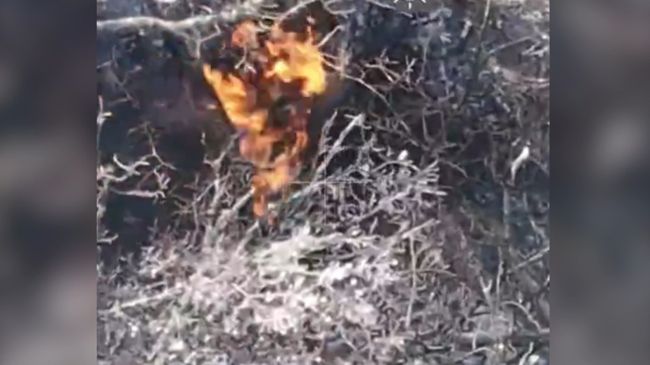 «Шквал» наступає – ворог палає (ВІДЕО)