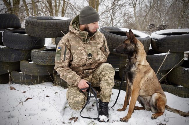 На Одещині до лав прикордонників долучилися нові службові собаки